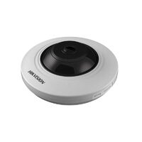 DS-2CD2955FWD-IS