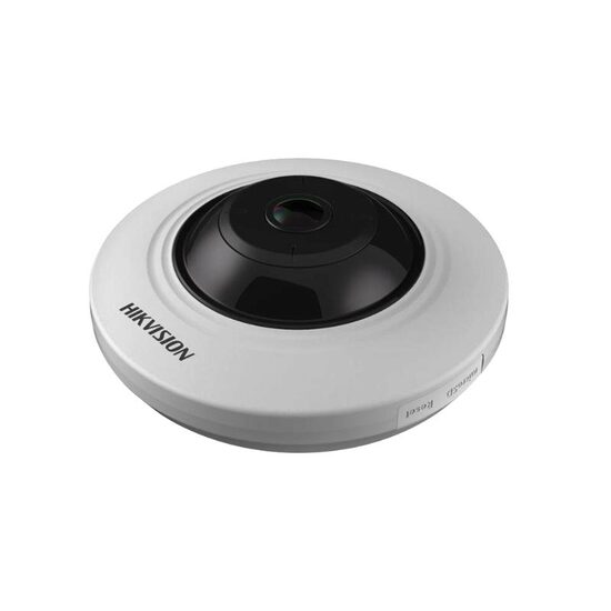 DS-2CD2955FWD-IS