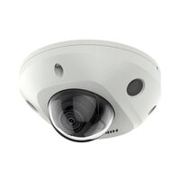 DS-2CD2543G2-IWS