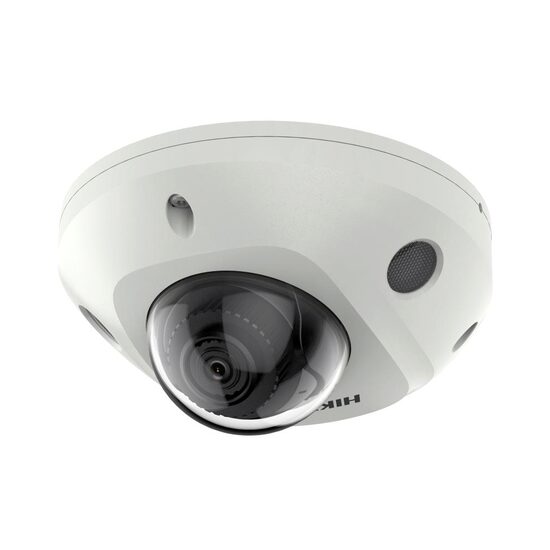 DS-2CD2543G2-IWS