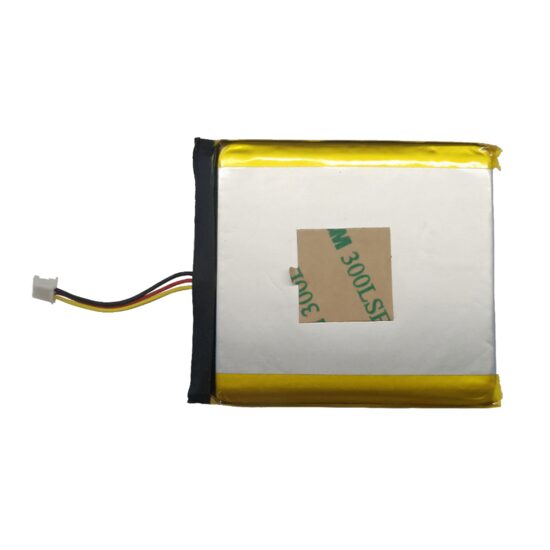 DS-PA-BATTERY 